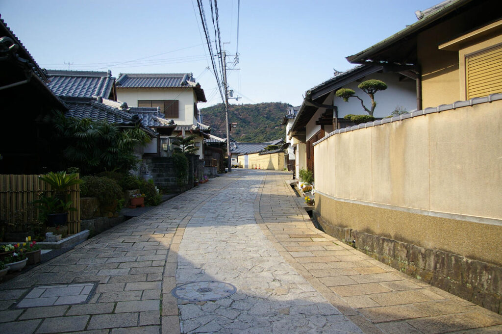 山中渓の町並みと桜風景