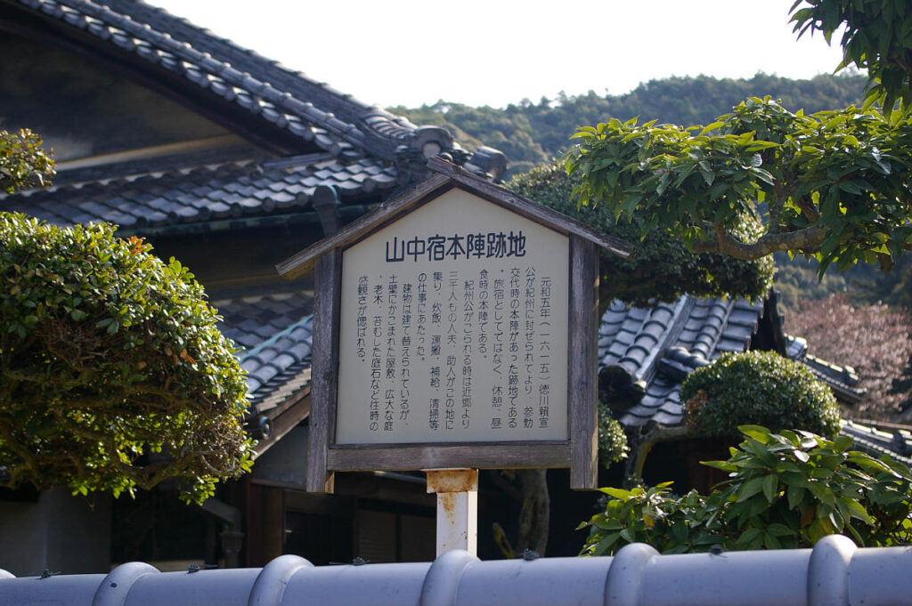 山中渓の町並みと桜風景