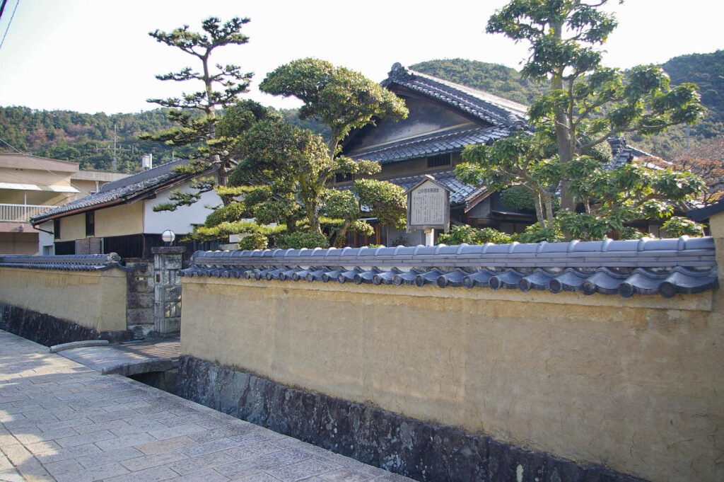 山中渓の町並みと桜風景