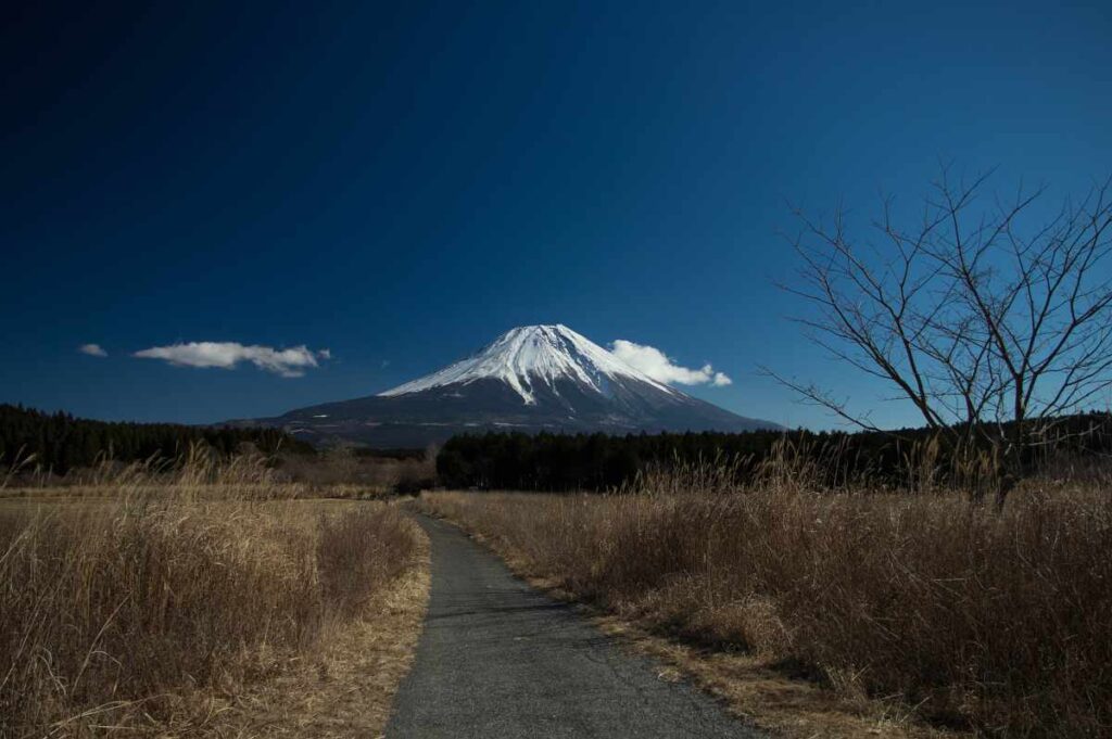 富士山