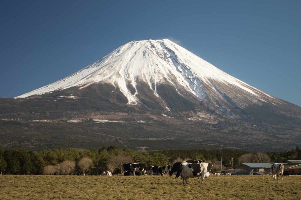 富士山