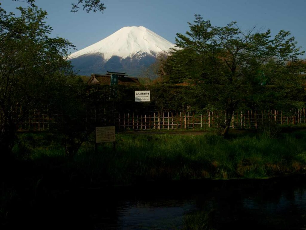 富士山