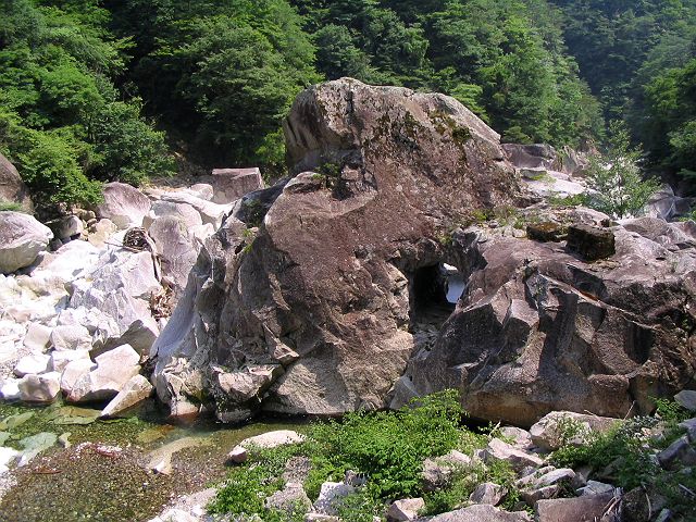 十津川・芦廼瀬川本流