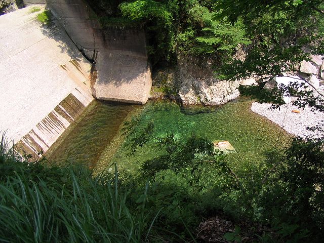 十津川・芦廼瀬川本流