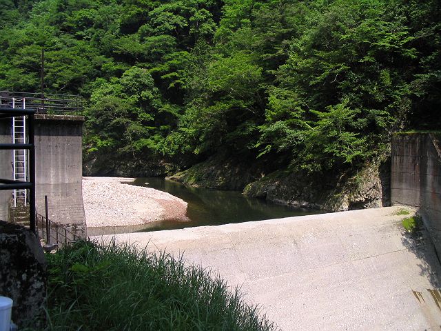 十津川・芦廼瀬川本流