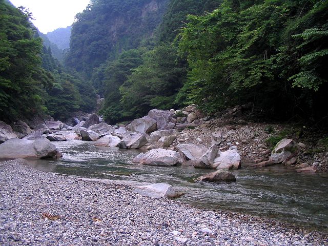 十津川・芦廼瀬川本流