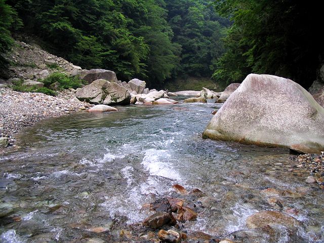 十津川・芦廼瀬川本流