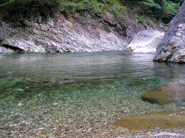 十津川・芦廼瀬川本流