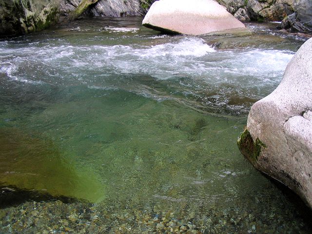 十津川・芦廼瀬川本流