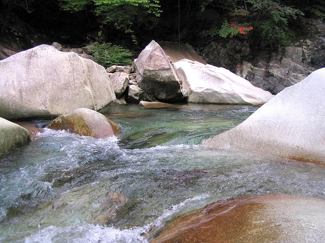 十津川・芦廼瀬川本流