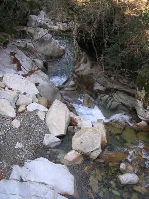 十津川・芦廼瀬川支流・大野川