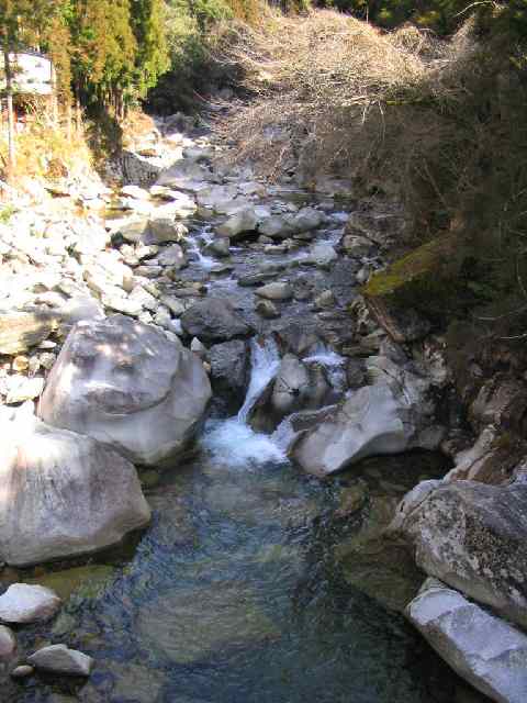 十津川・芦廼瀬川支流・大野川