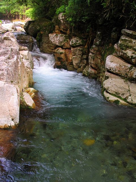 十津川・芦廼瀬川支流・大野川