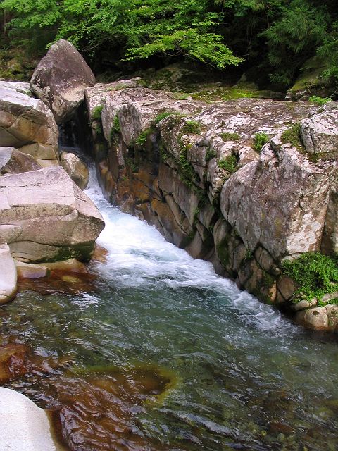 十津川・芦廼瀬川支流・大野川