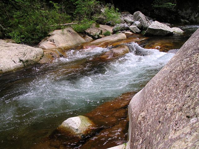 十津川・芦廼瀬川支流・大野川