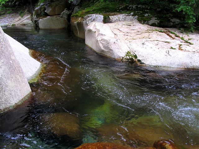 十津川・芦廼瀬川支流・大野川