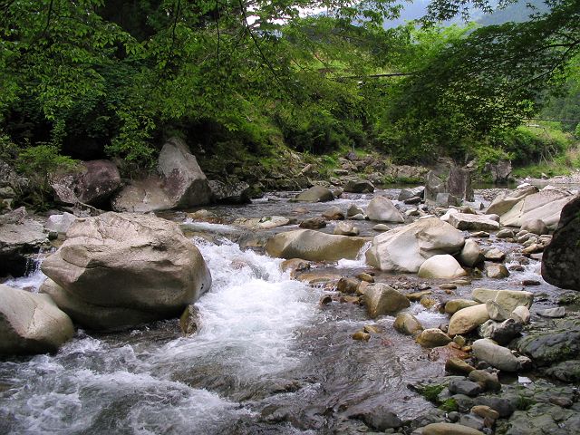 十津川・芦廼瀬川支流・大野川