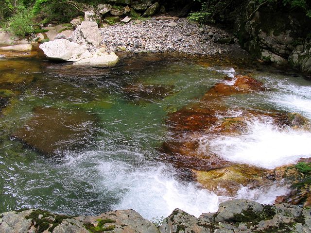 十津川・芦廼瀬川支流・大野川