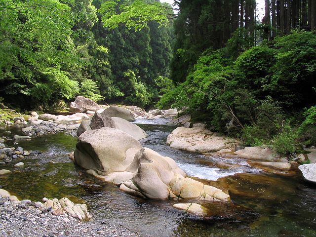 十津川・芦廼瀬川支流・大野川