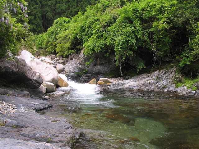 十津川・芦廼瀬川支流・大野川