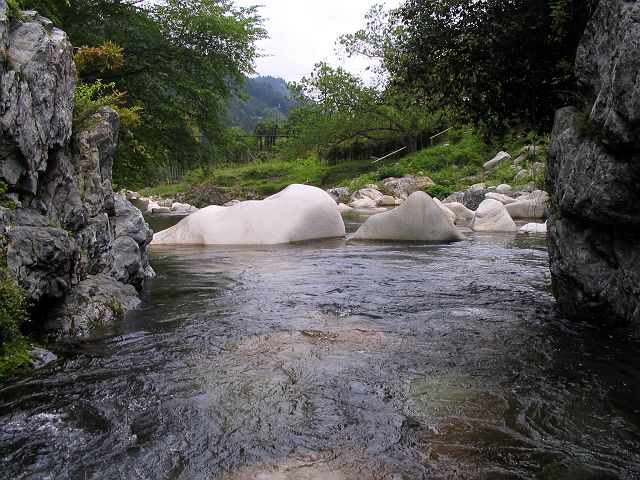 十津川・芦廼瀬川支流・大野川