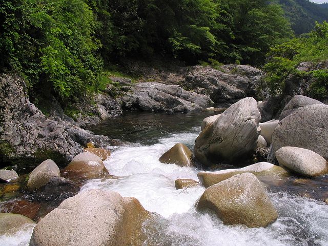 十津川・芦廼瀬川支流・大野川