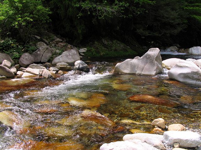 十津川・芦廼瀬川支流・大野川