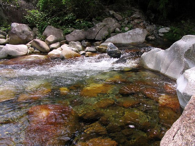 十津川・芦廼瀬川支流・大野川