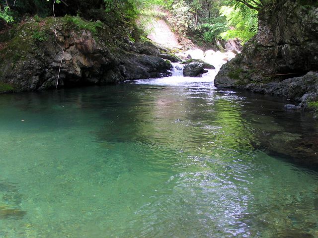 十津川・芦廼瀬川支流・大野川