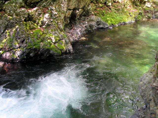 十津川・芦廼瀬川支流・大野川