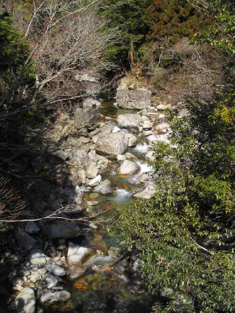 十津川・芦廼瀬川支流・大野川