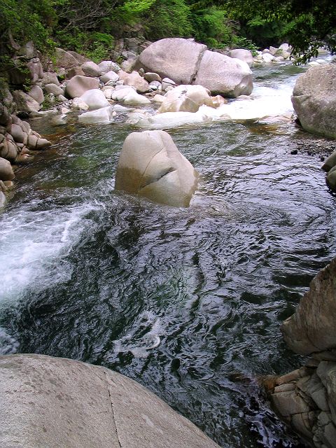 十津川・芦廼瀬川支流・大野川