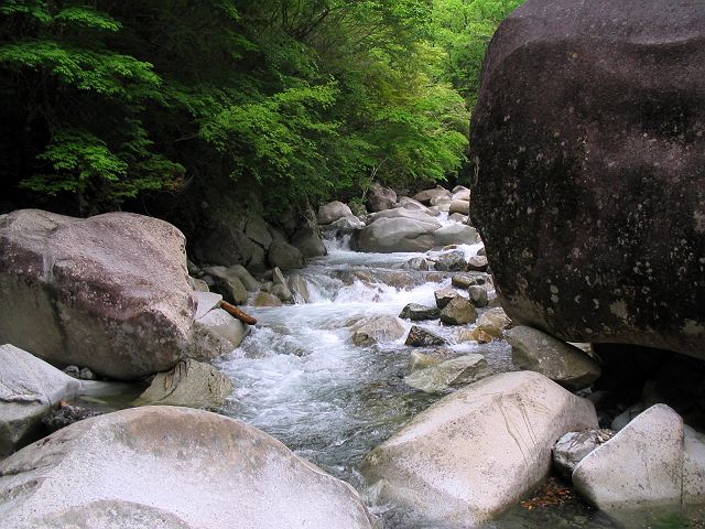 十津川・芦廼瀬川支流・大野川