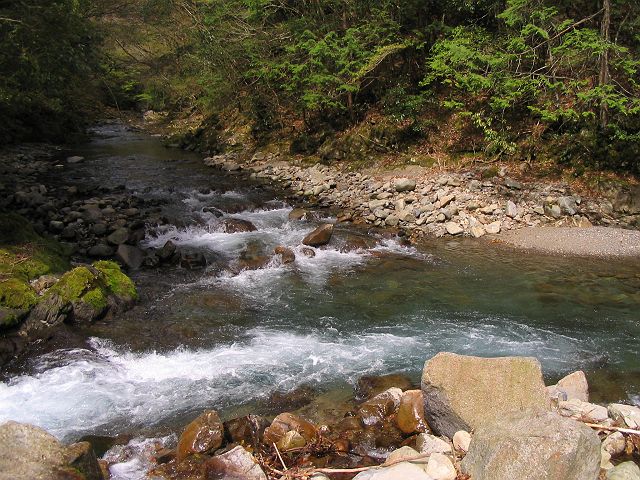 十津川・上湯川支流・果無谷