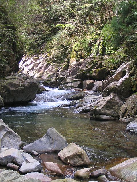 十津川・上湯川支流・果無谷