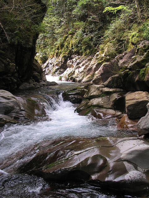 十津川・上湯川支流・果無谷