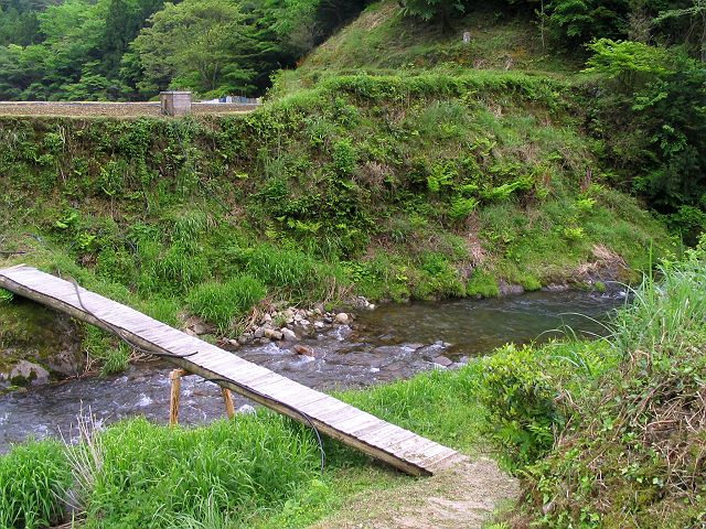 十津川・上湯川本流