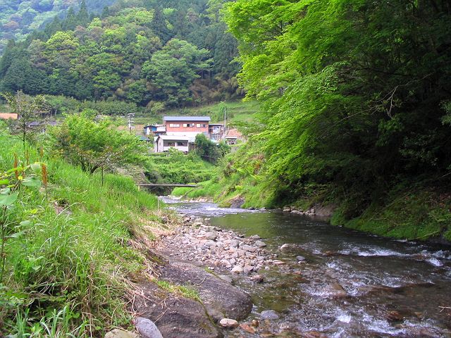 十津川・上湯川本流