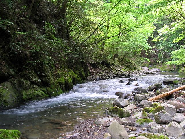 十津川・上湯川本流