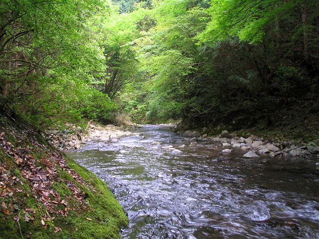 十津川・上湯川本流