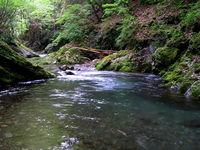 十津川・上湯川本流