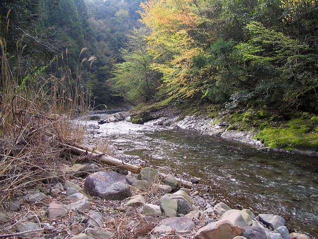 十津川・上湯川本流