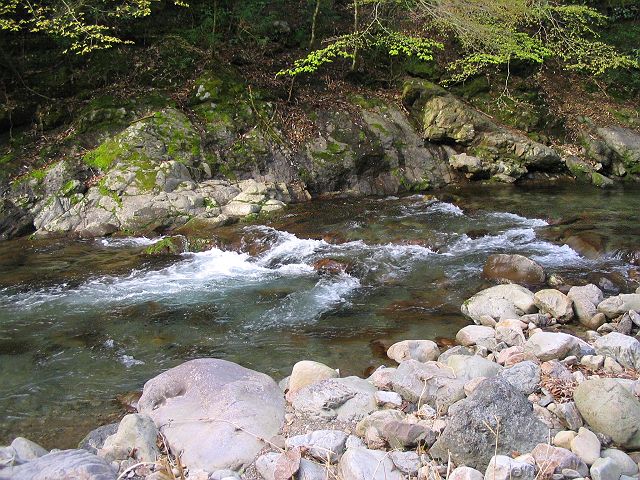 十津川・上湯川本流