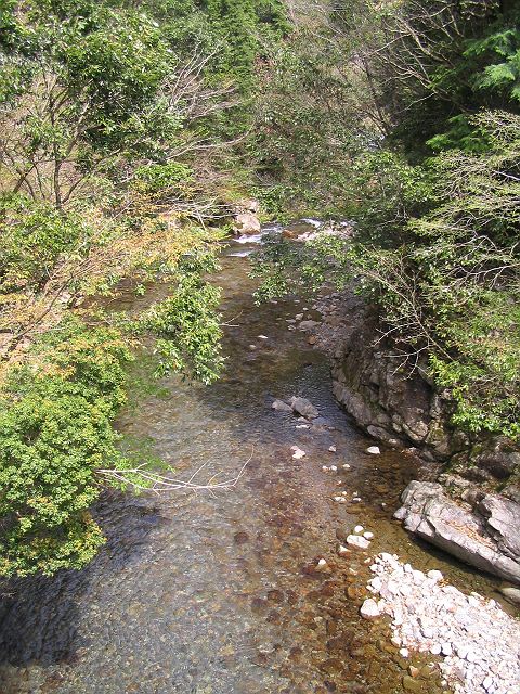 十津川・上湯川本流