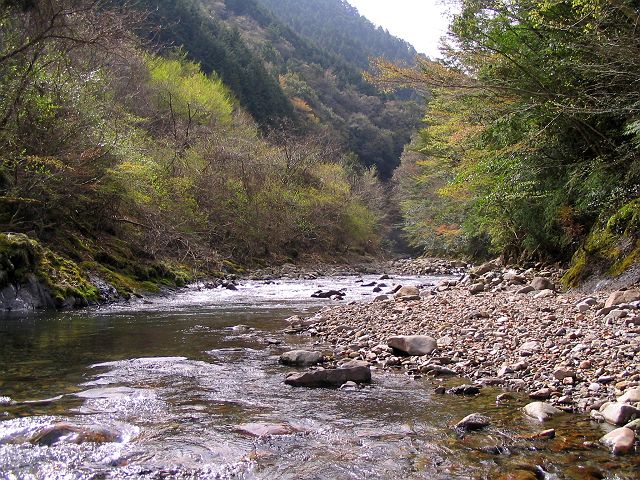 十津川・上湯川本流