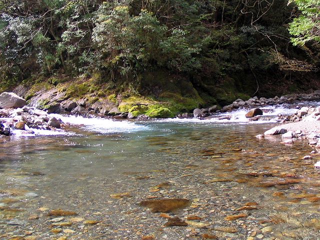 十津川・上湯川本流