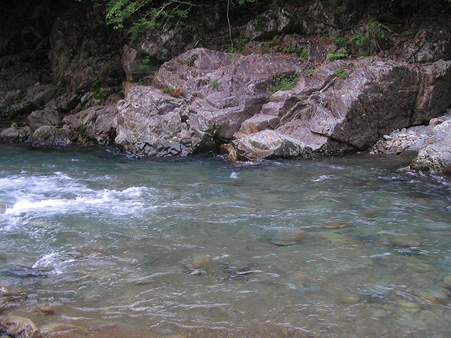 十津川・上湯川本流