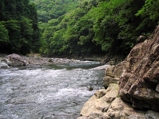 十津川・上湯川本流