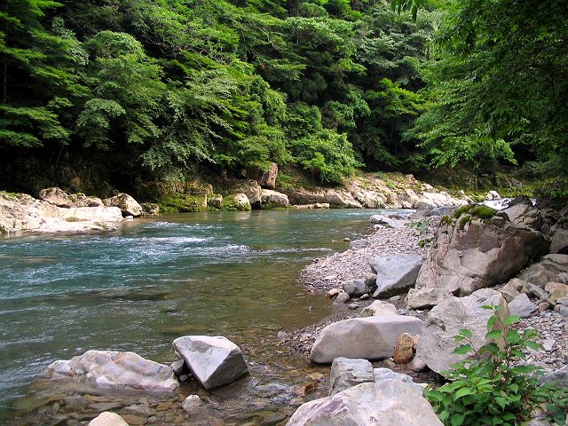 十津川・上湯川本流