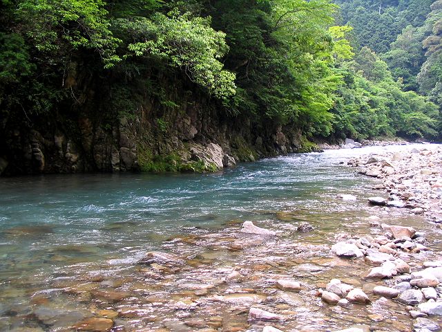 十津川・上湯川本流